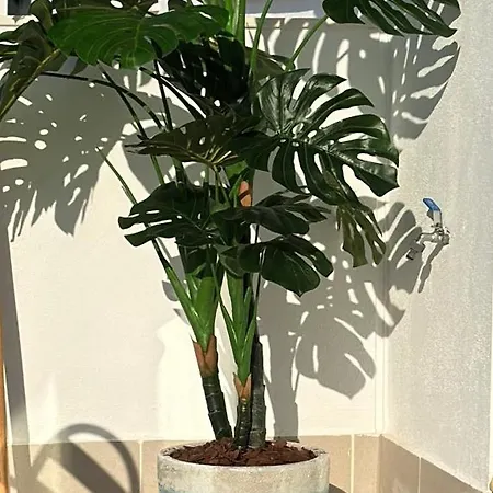 Apartment Costa Del Sol Poolside Paradise